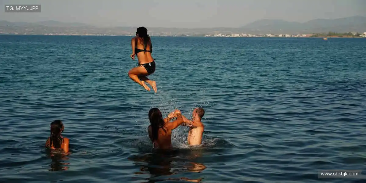 📺高清直播，流畅无阻！⏰赛事预告，提前锁定你的观赛日程！